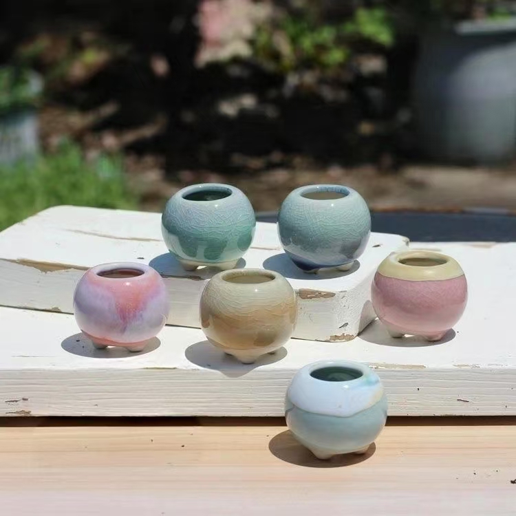 Bonsai Garden Kit - 6Pcs Mini Flowerpot Succulents Small Succulent