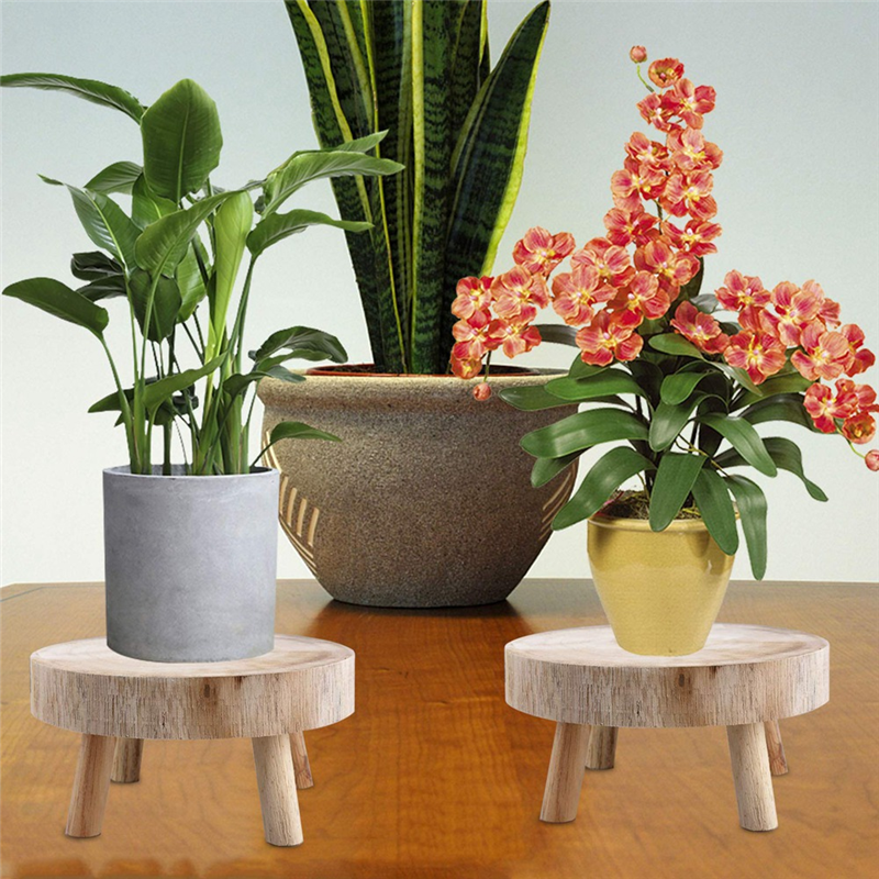FBIL-Mini Wooden Stool Display - Bonsai Garden Display Stands のレビューと価格