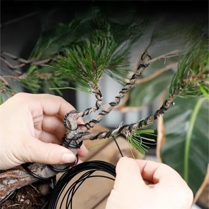 Bonsai Tree Shaping Aluminum W - Bonsai Garden Design のレビューと価格