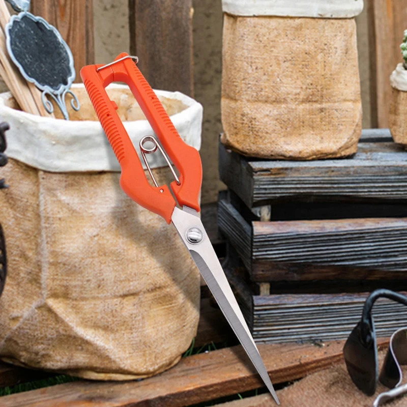 Multi-Purpose Pruning Scissors - Bonsai Garden Rake のレビューと価格