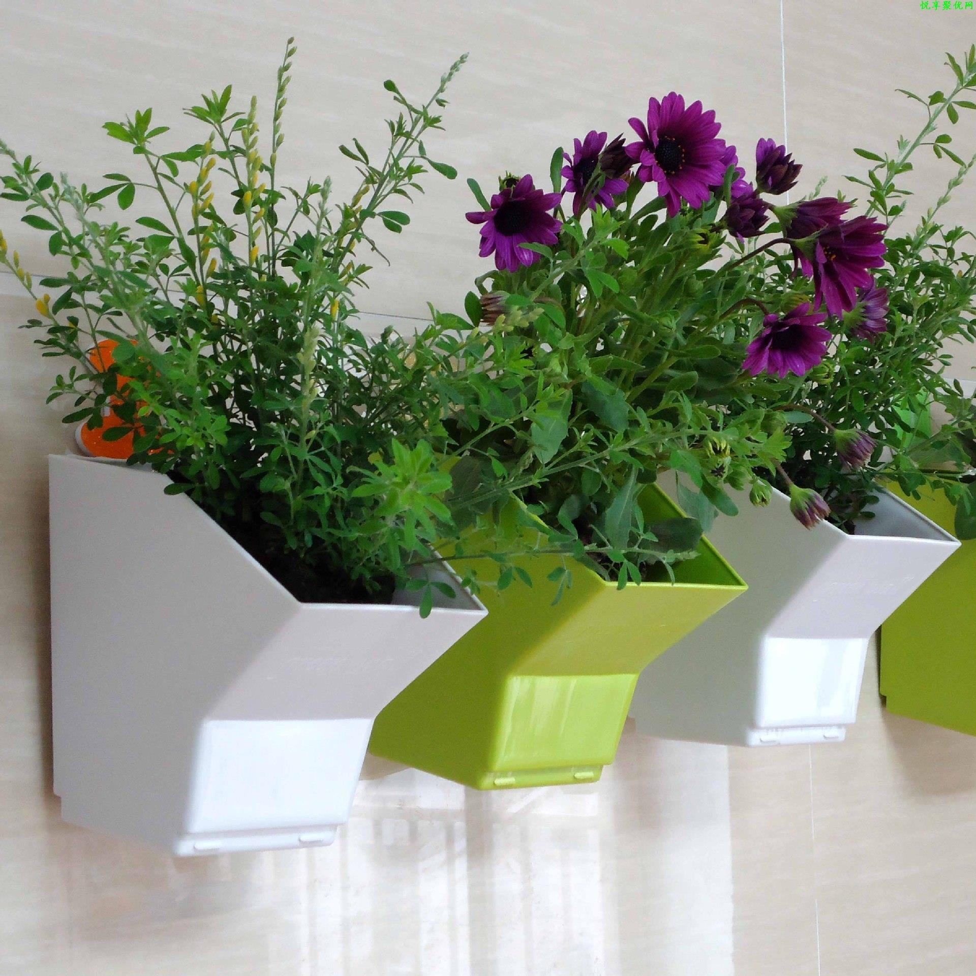 2 pcs Wall Hanging Planter Flo - Bonsai Garden Wall のレビューと価格