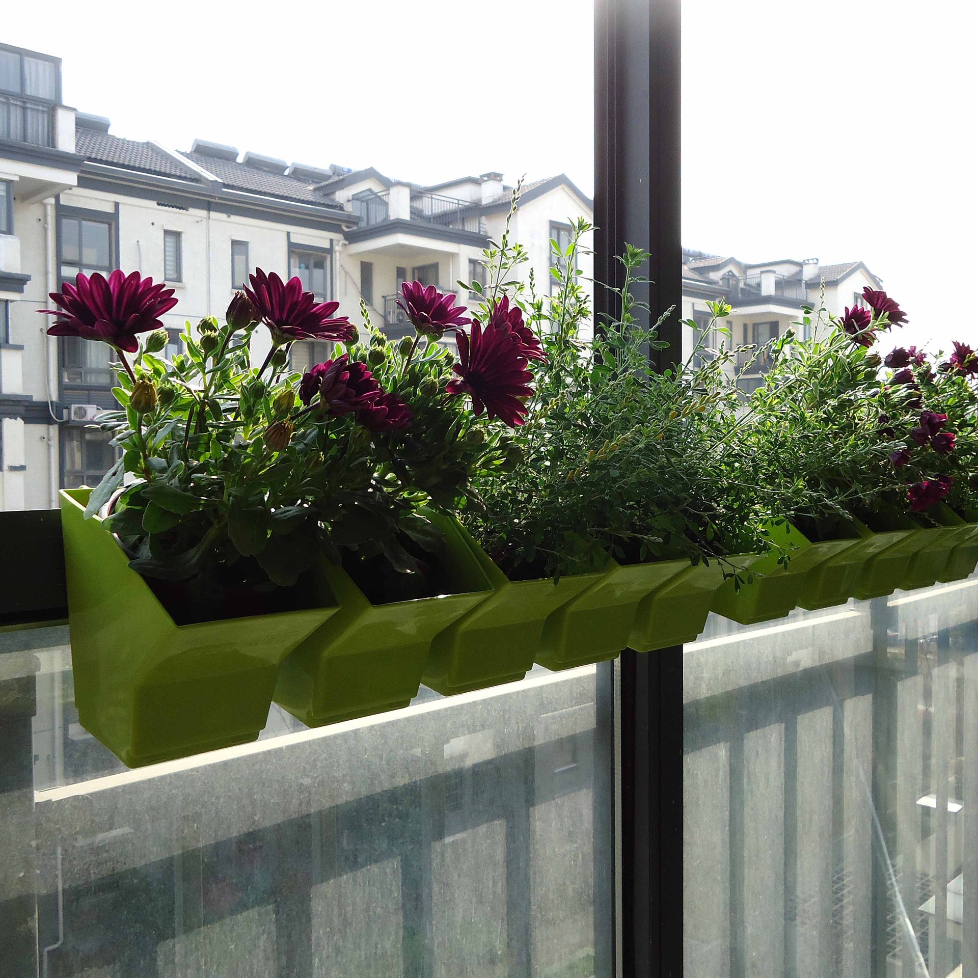 2 pcs Wall Hanging Planter Flo - Bonsai Garden Wall のレビューと価格