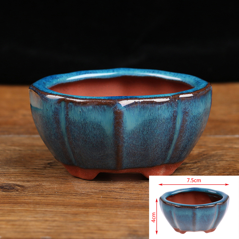 1pcs Bonsai Mini Ceramic Flowe - Bonsai Garden Chinese Garden のレビューと価格