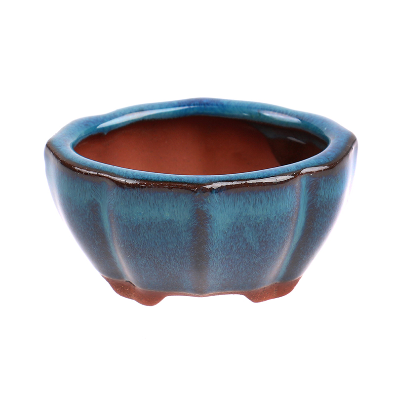 1pcs Bonsai Mini Ceramic Flowe - Bonsai Garden Chinese Garden のレビューと価格