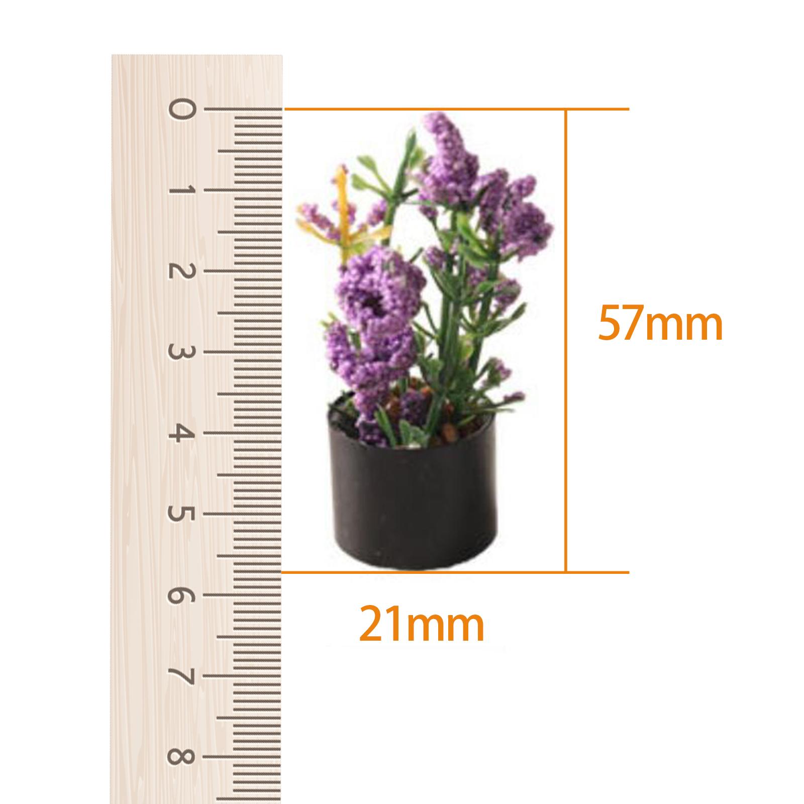 1/12 Miniature Flower Bonsai O - Bonsai Garden Photos のレビューと価格