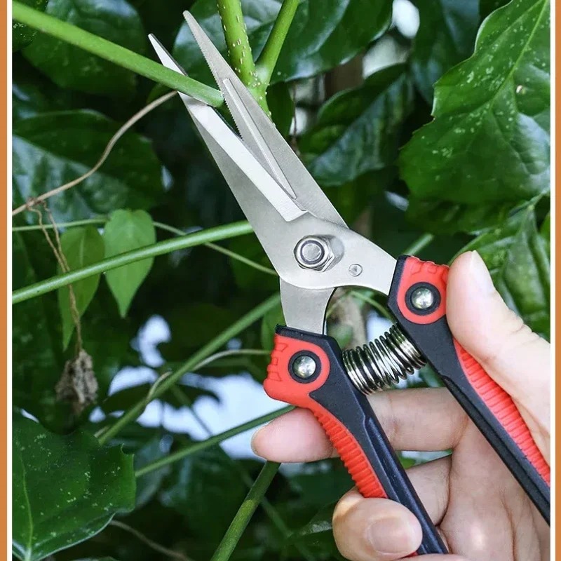 NEWSHARK Stainless Steel Pruni - Bonsai Garden Rake のレビューと価格