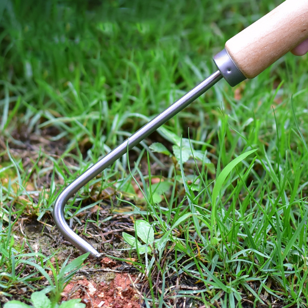 1PC Single Claw Hook Soil Loos - Bonsai Garden Kit のレビューと価格