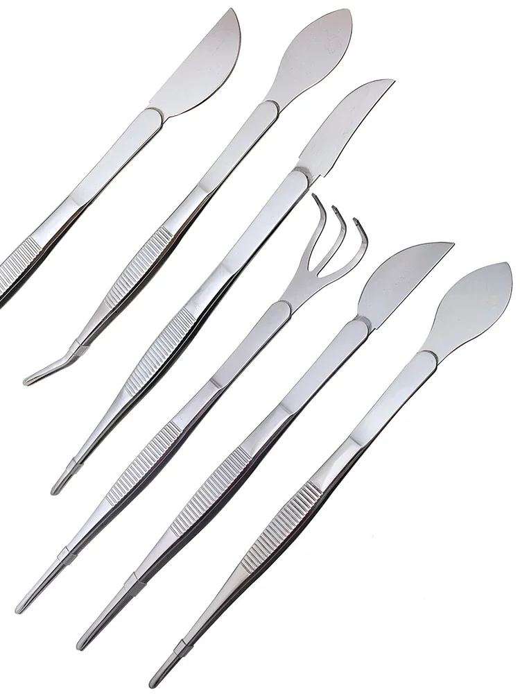 1pc 2-in-1  304 Stainless Stee - Bonsai Garden Rake のレビューと価格