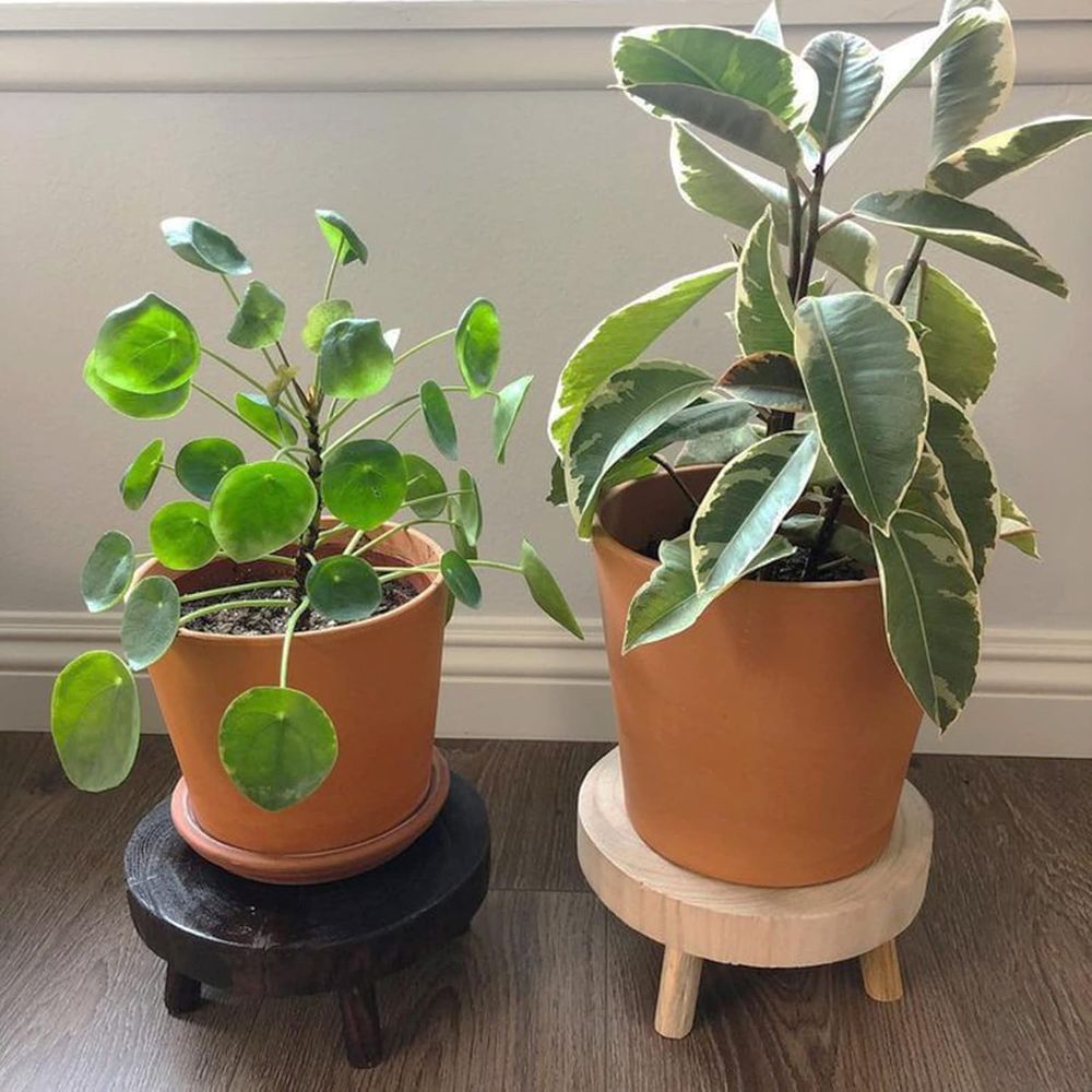 Mini Wooden Stool Display Stan - Bonsai Garden Display Stands のレビューと価格