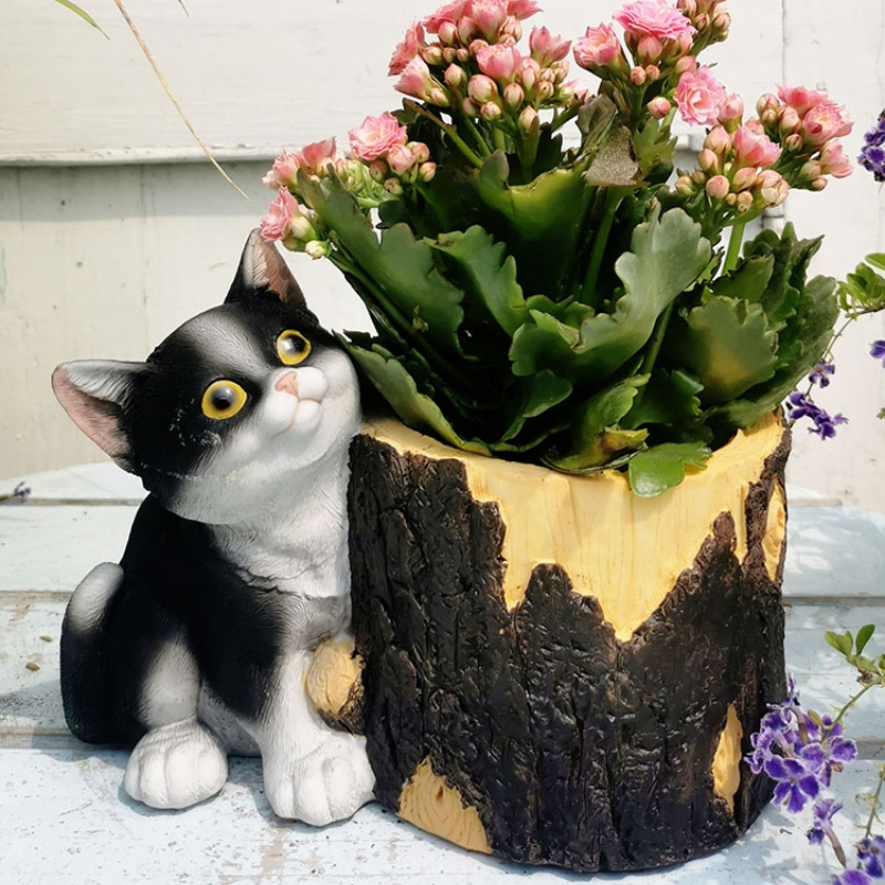Creative Garden Bonsai Basin R - Bonsai Garden Wall のレビューと価格