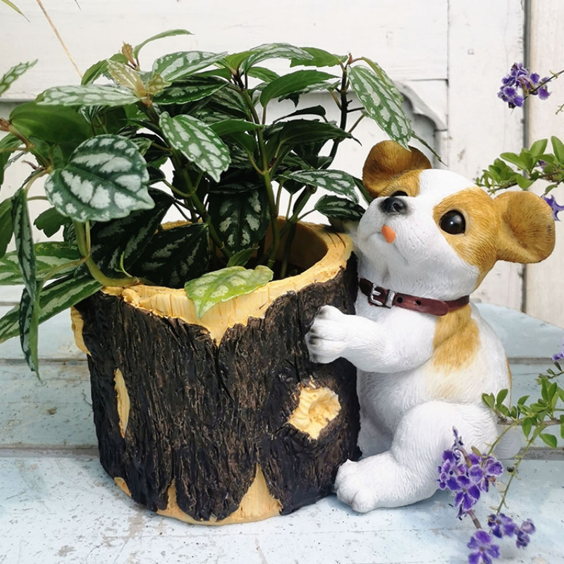 Creative Garden Bonsai Basin R - Bonsai Garden Wall のレビューと価格