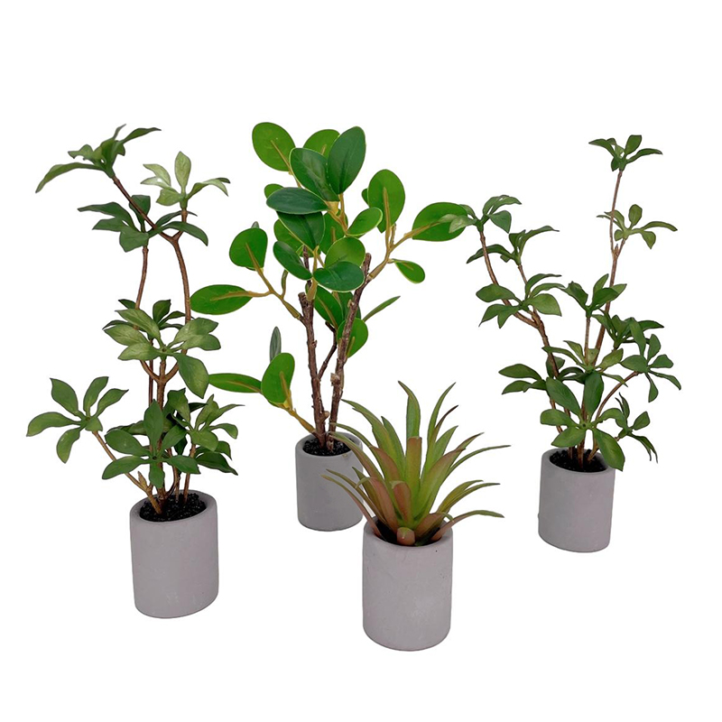 1:6 Dollhouse Miniature Potted - Bonsai Garden Kit のレビューと価格