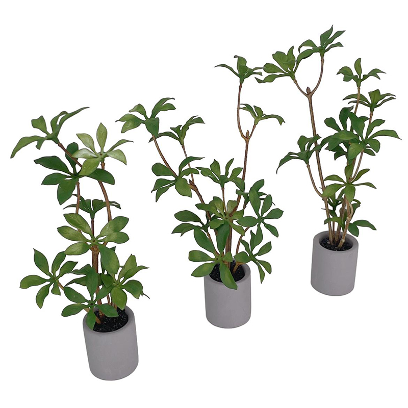 1:6 Dollhouse Miniature Potted - Bonsai Garden Kit のレビューと価格