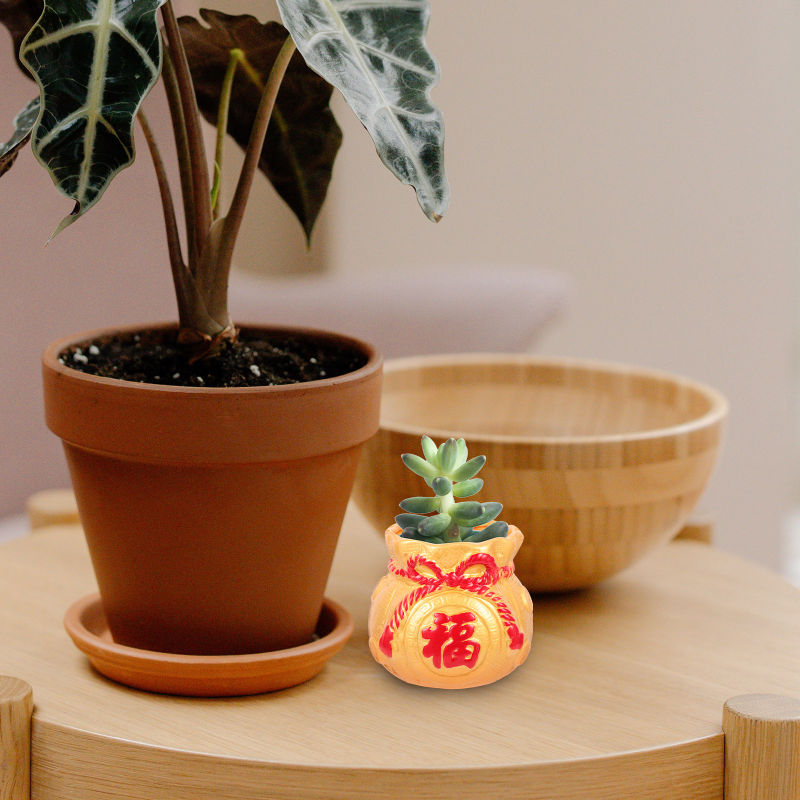 Creative Ceramic Planter Money - Bonsai Garden Design のレビューと価格