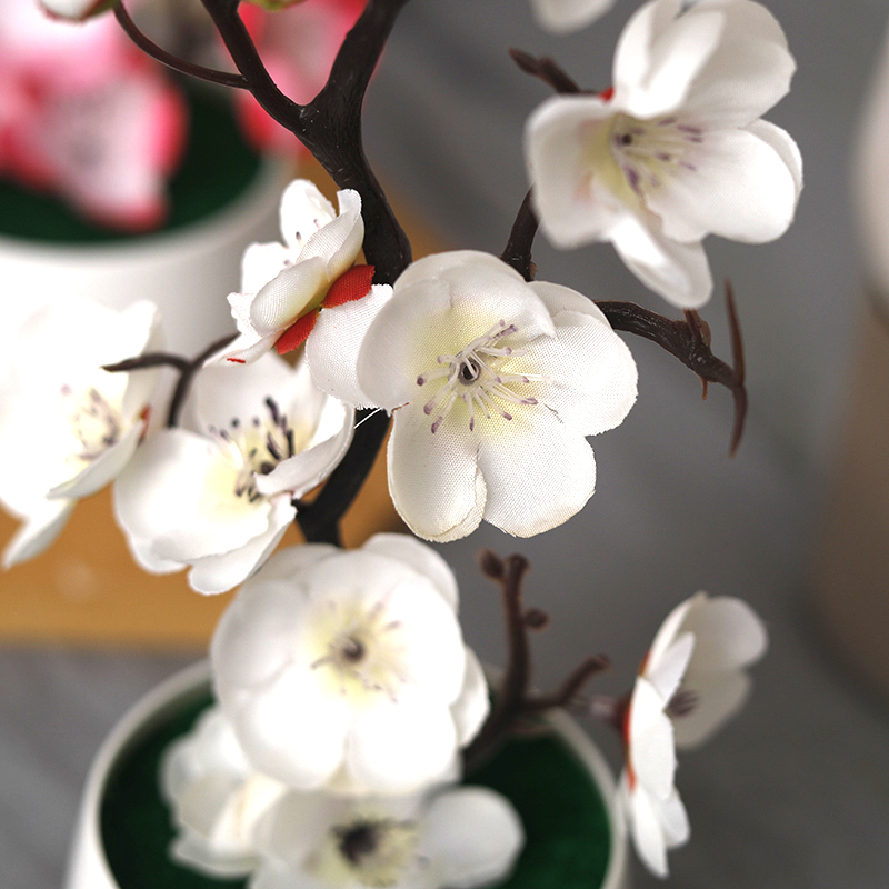 Christmas Fake Green PE Pine B - Bonsai Garden Wall のレビューと価格
