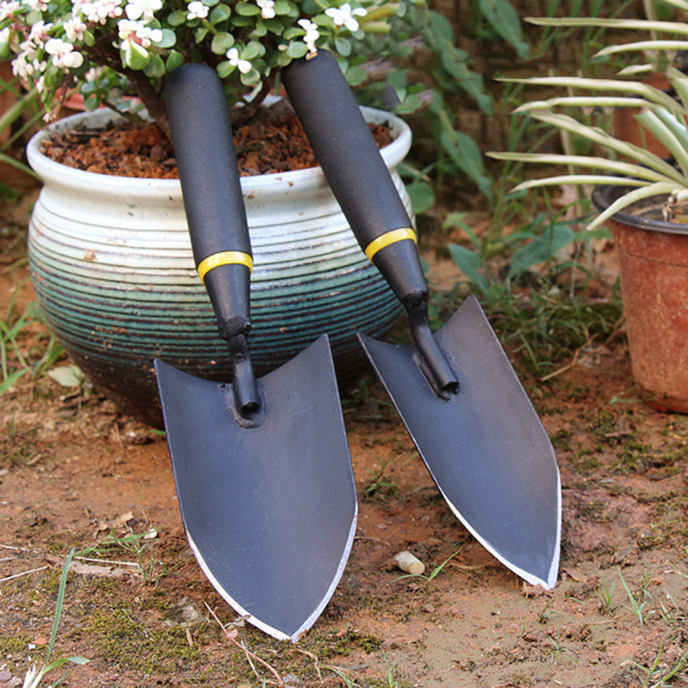 1Pcs Professional Thick Mangan - Bonsai Garden Design のレビューと価格