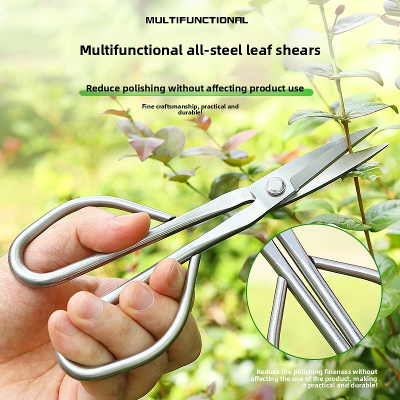 Tender Leaf Scissors Bonsai To - Bonsai Garden Rake のレビューと価格