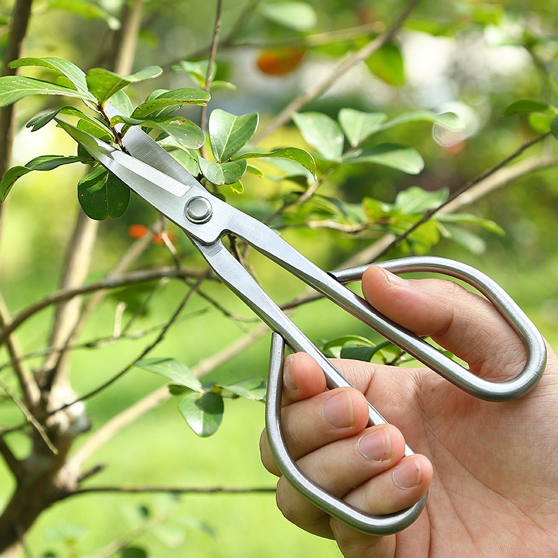 Tender Leaf Scissors Bonsai To - Bonsai Garden Rake のレビューと価格