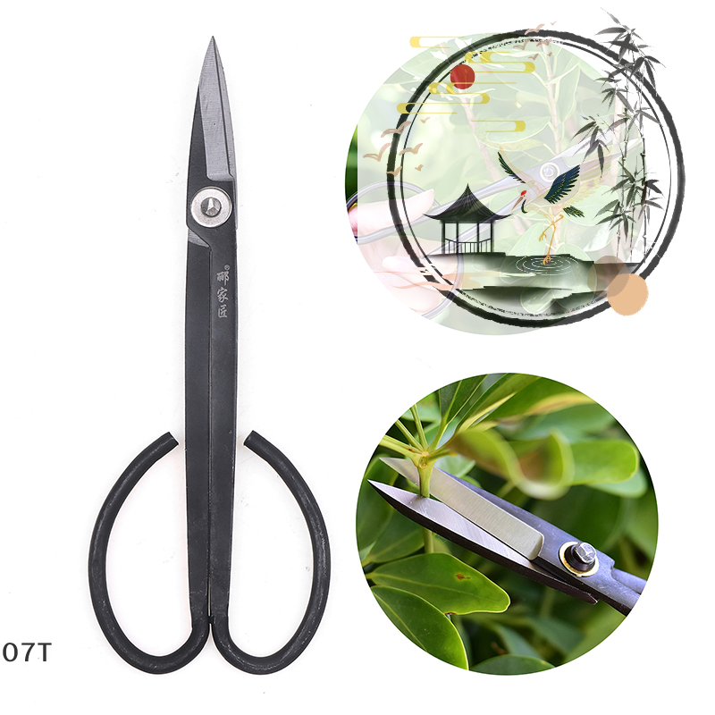 Long Handle Scissors Bonsai To - Bonsai Garden Rake のレビューと価格
