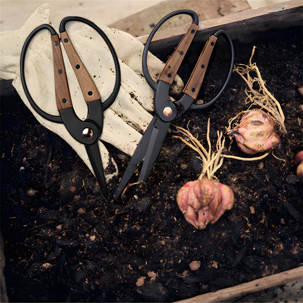 1PC，Professional Grade Root Pr - Bonsai Garden Rake のレビューと価格