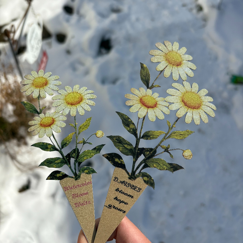 JUSTINLAU Daisy Bonsai Gardeni - Bonsai Garden Photos のレビューと価格