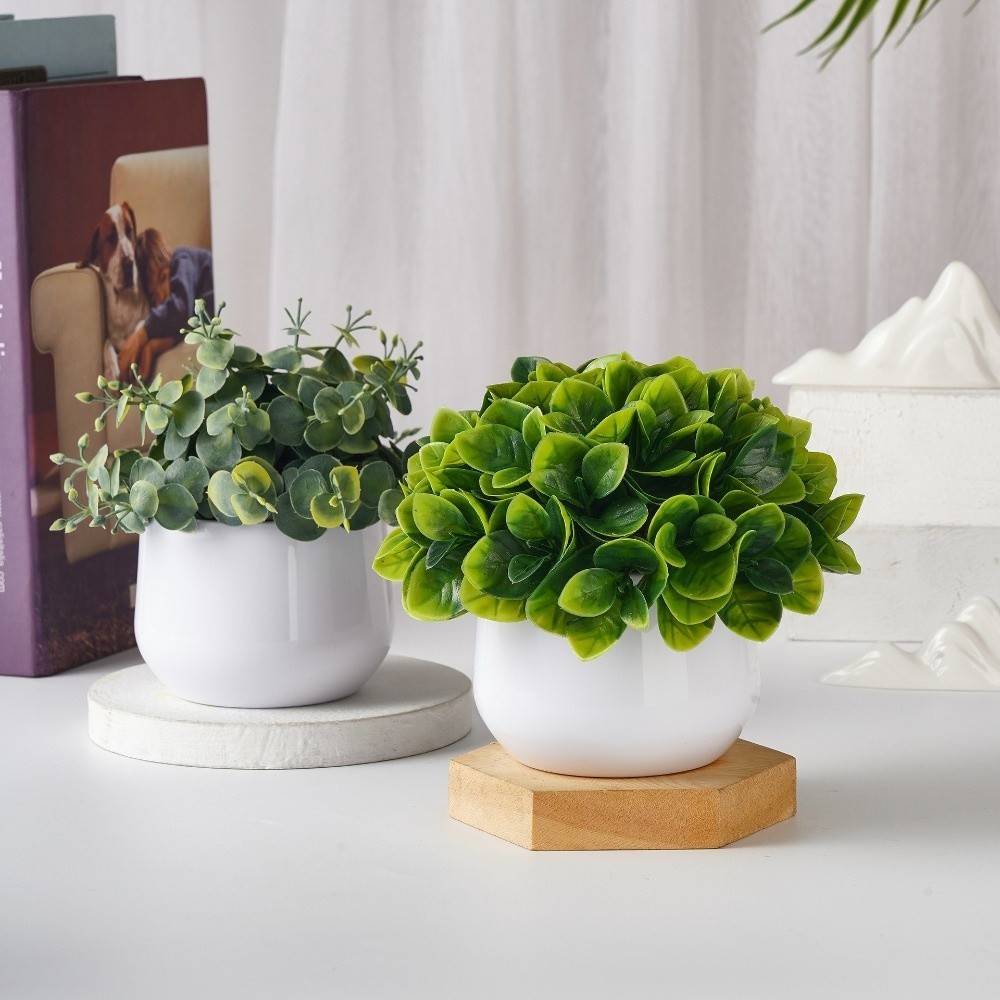 Simulation Plastic Plant Artif - Bonsai Garden Kit のレビューと価格