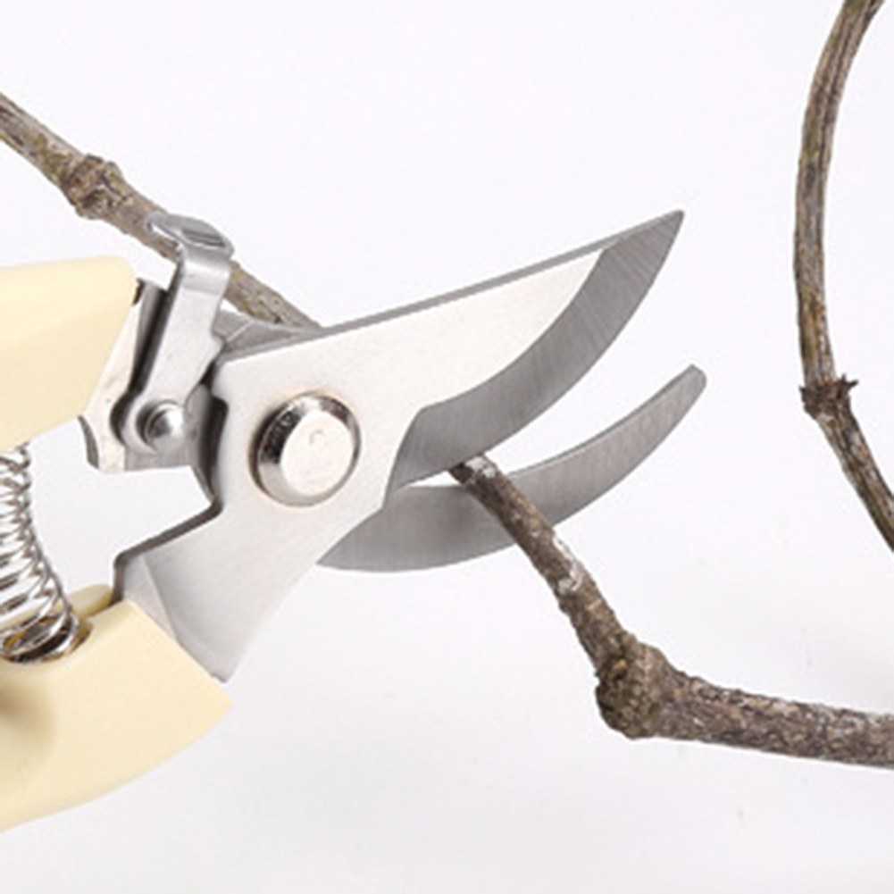 Pruner Shears Hand Tools Bonsa - Bonsai Garden Rake のレビューと価格