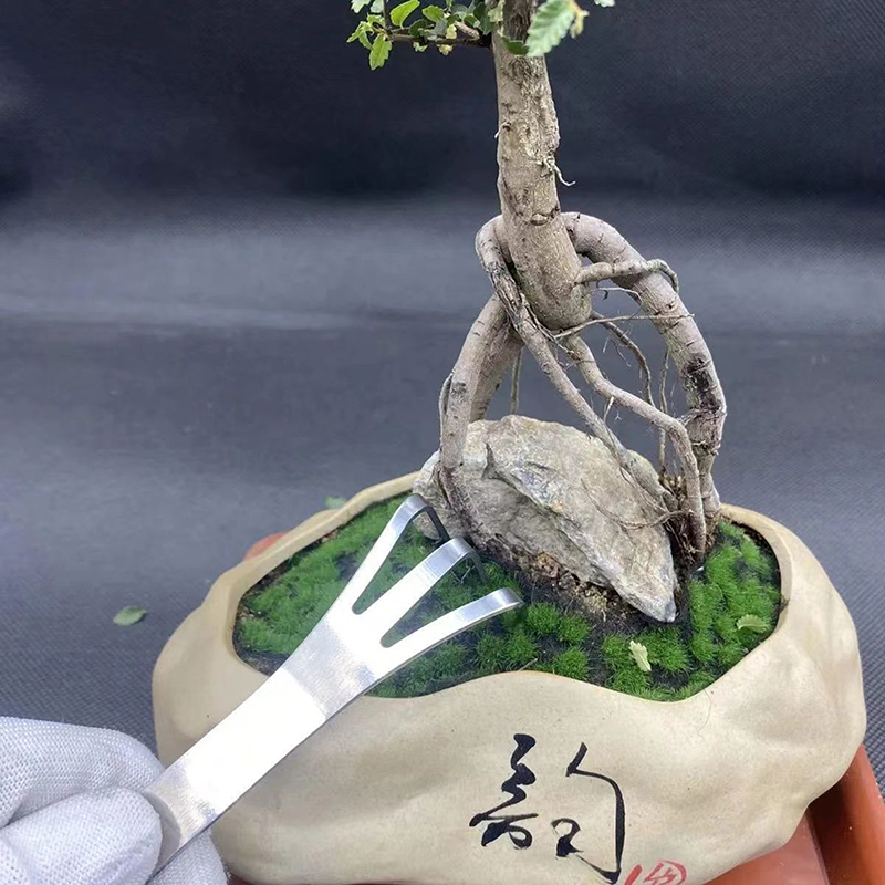 1Pc Stainless Steel Root Rake  - Bonsai Garden Rake のレビューと価格
