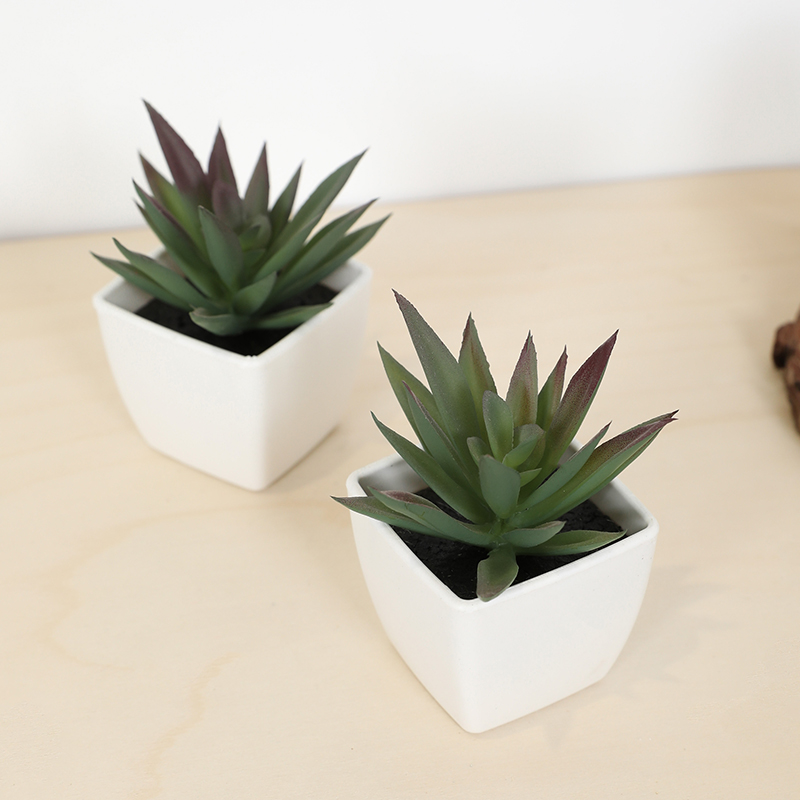 Mini Artificial Succulent Fair - Bonsai Garden Kit のレビューと価格