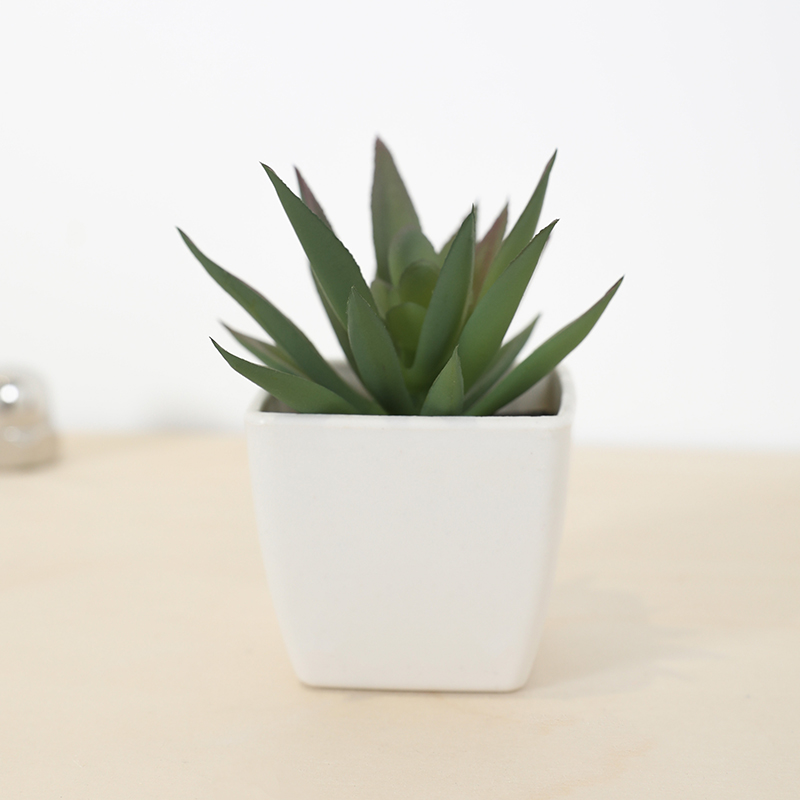 Mini Artificial Succulent Fair - Bonsai Garden Kit のレビューと価格