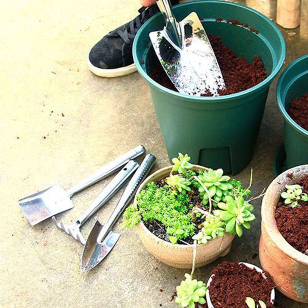 Bonsai Soil Stainless Steel Ga - Bonsai Garden Rake のレビューと価格