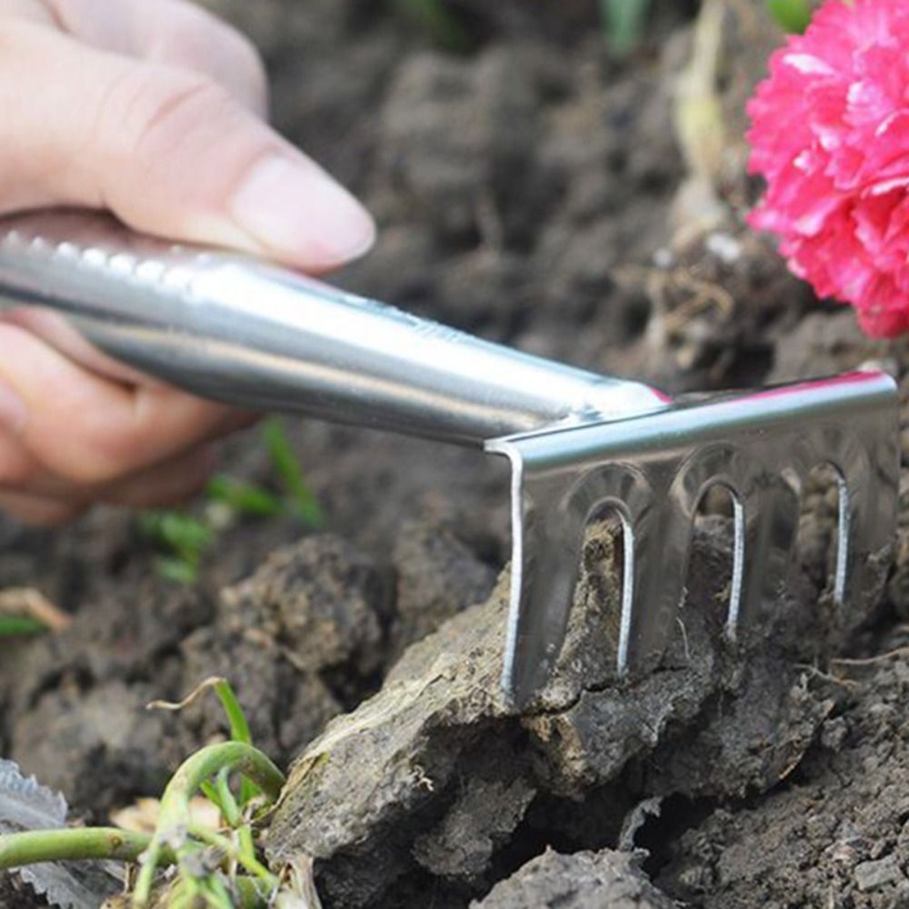 Bonsai Soil Stainless Steel Ga - Bonsai Garden Rake のレビューと価格