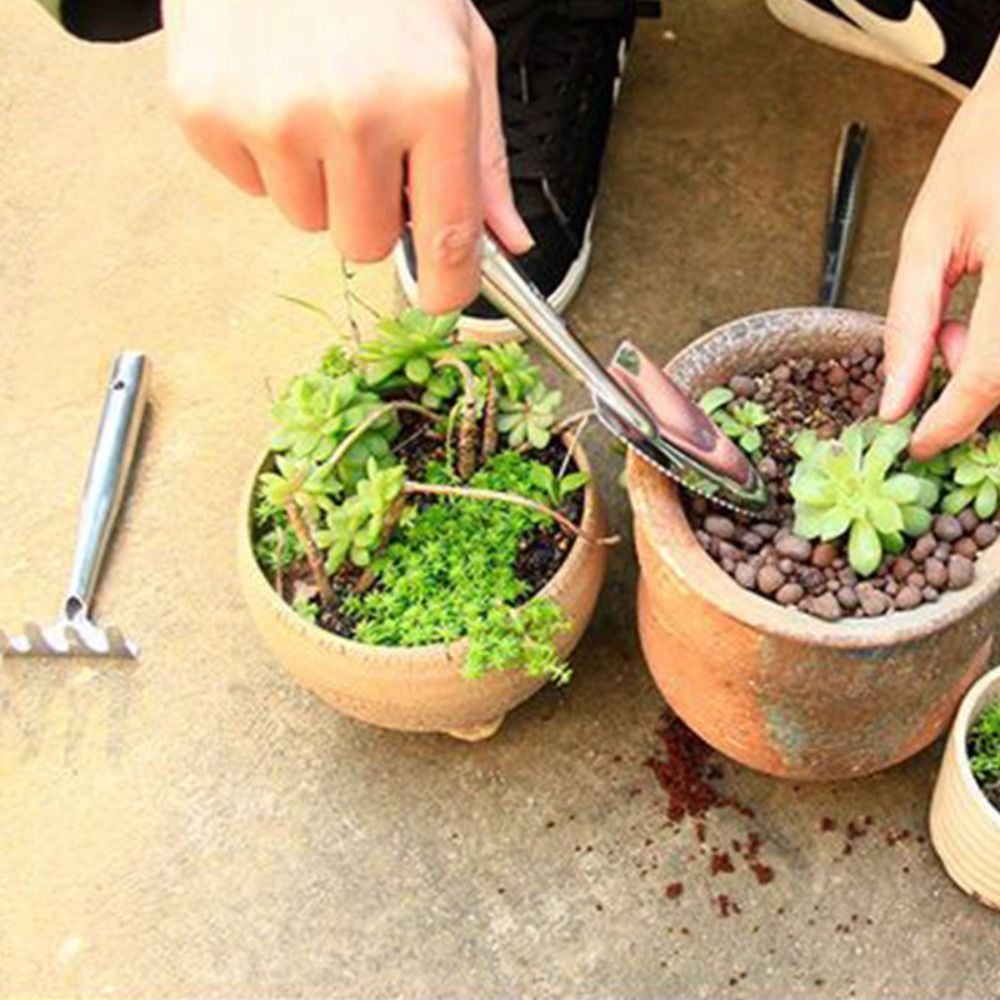 Bonsai Soil Stainless Steel Ga - Bonsai Garden Rake のレビューと価格