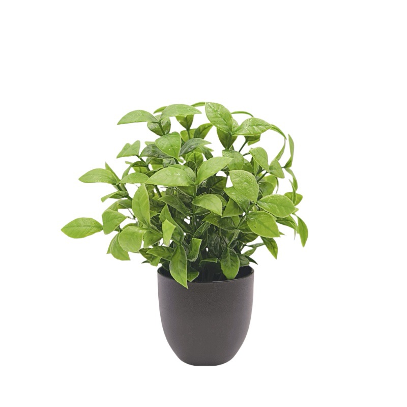 Simulation green plant bonsai  - Bonsai Garden Kit のレビューと価格