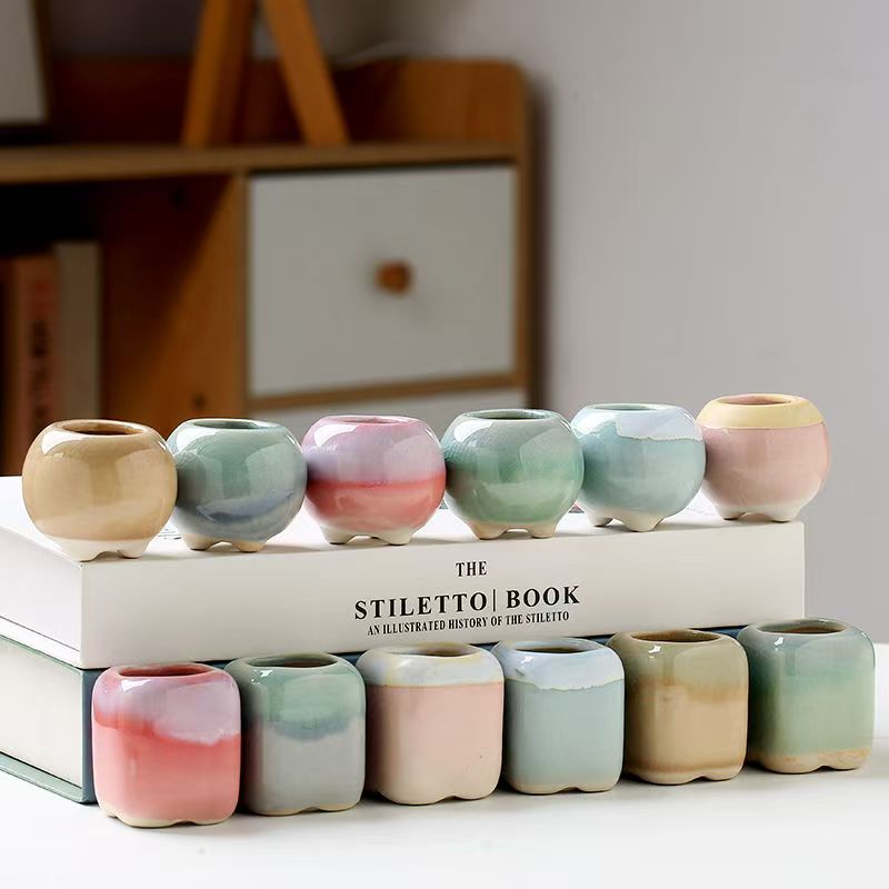 6Pcs Mini Flowerpot Succulents - Bonsai Garden Kit のレビューと価格