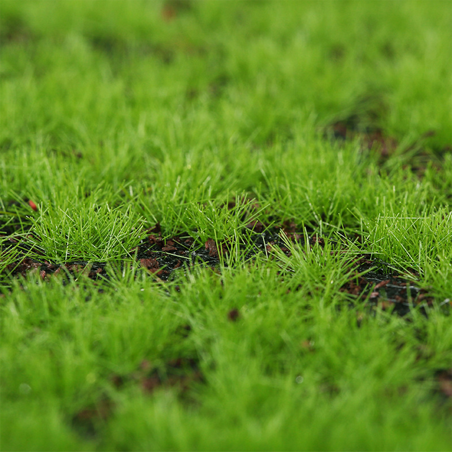 Artificial Moss Turf Simulatio - Bonsai Garden Wall のレビューと価格