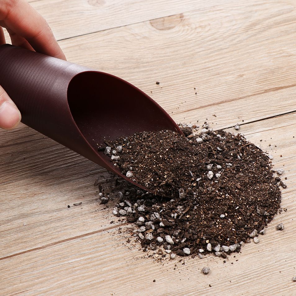 1PC Plastic Soil Shovel Cup Fo - Bonsai Garden Kit のレビューと価格